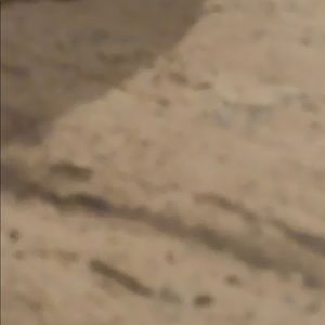 Meet your Posher, Lauri